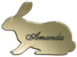 Rabbit Magnet