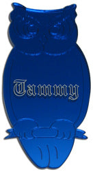 Owl Pin