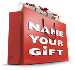 Name Your Gift